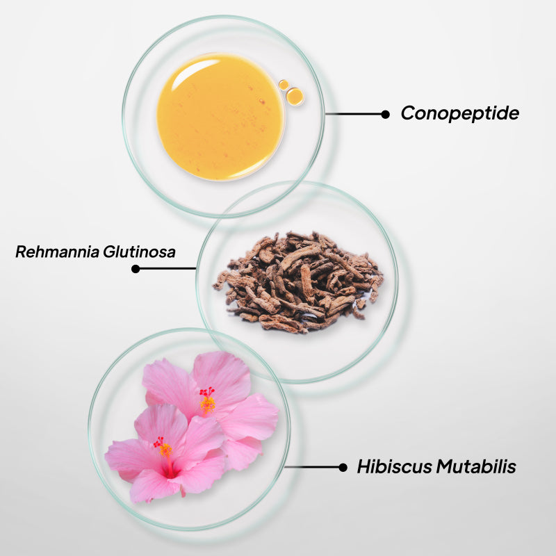 Conus Peptide Collagen Booster